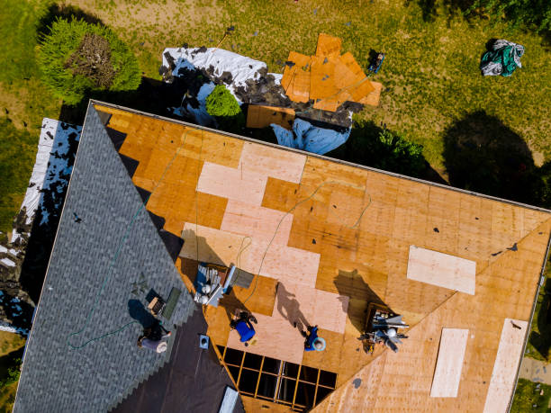 Best Roof Gutter Cleaning  in Centerburg, OH